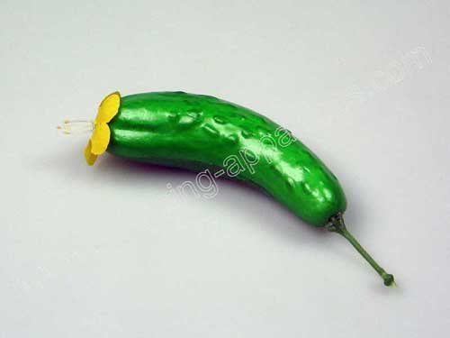 Cucumber Model/Bontany Model