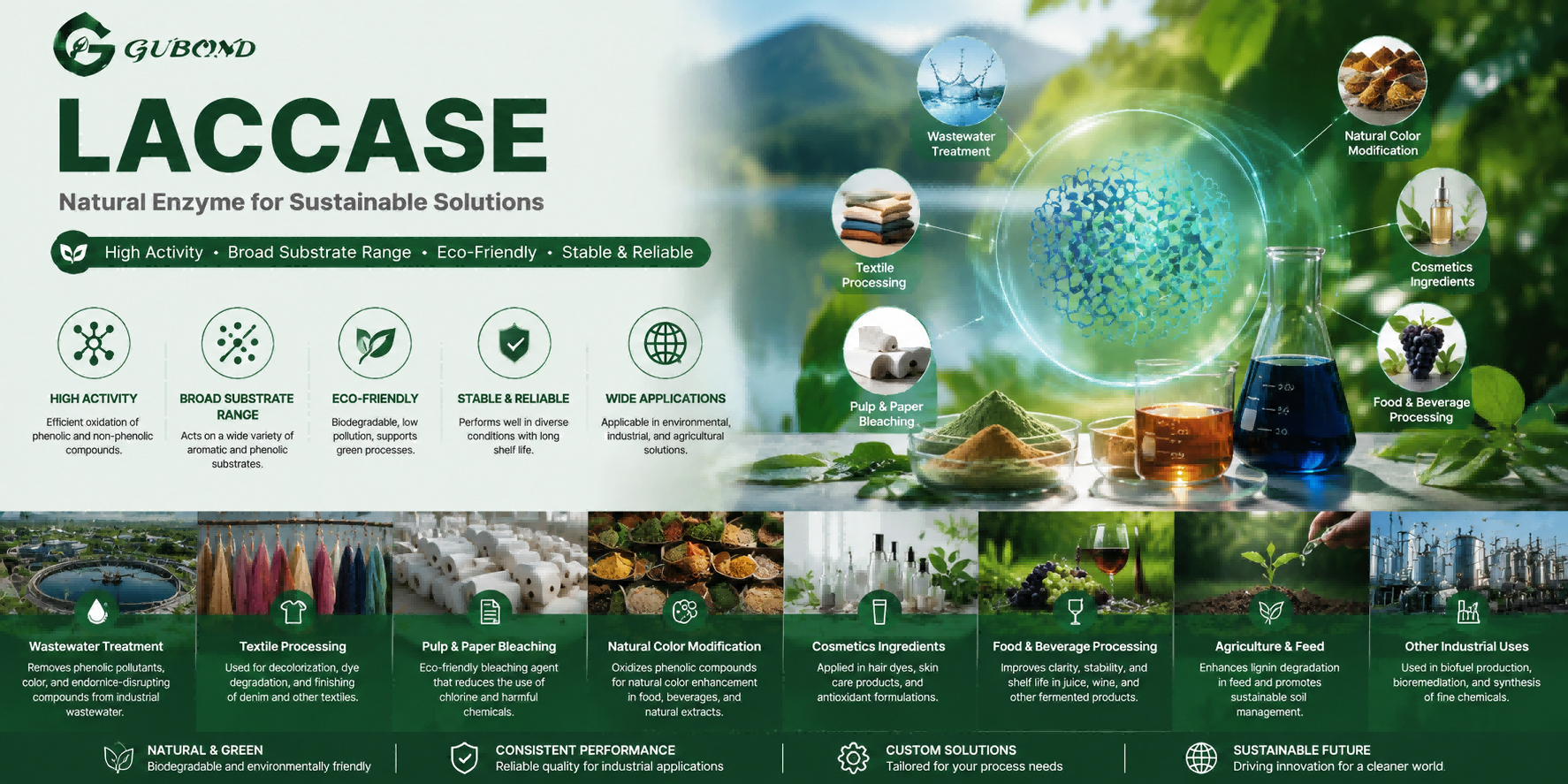 Laccase (5)