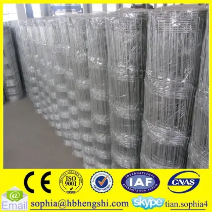 durability farm field fence/high tensile game fence/grassland field fence                        
                                                                                Supplier's Choice