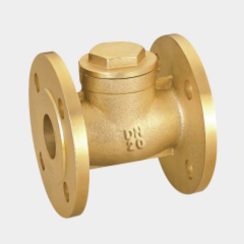 Brass flange check valve