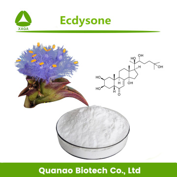 Cyanotis Arachnoidea Extract Ecdysterone 80%-98% Powder