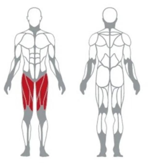 Professional Seated Leg Extension Machine