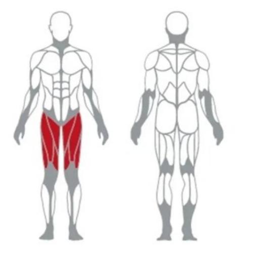 Professional Seated Leg Extension Machine