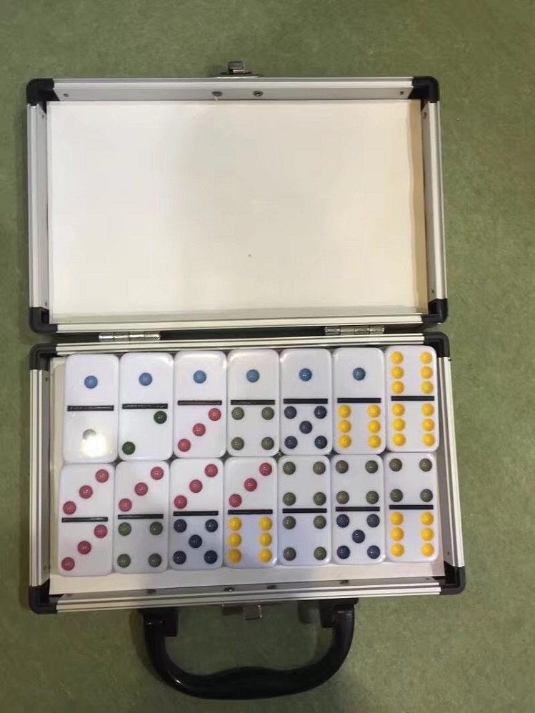 Double 6 Plastic Domino Game Set