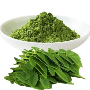 Bulk Moringa Leaf Powder Organic Moringa Extract Powder