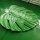 New inflatable float mattress inflatable leaf pool float