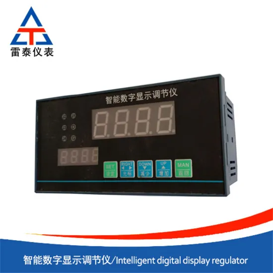 Intelligent digital display regulator
