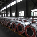 S250GD+Z Colded Rolled Galvanized Steel Coil