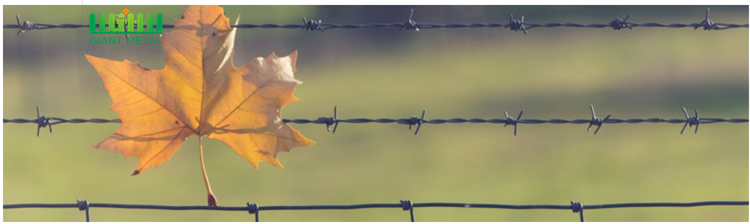 Galvanized barbed wire rol