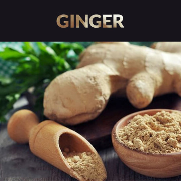 100% pure ginger essential oil for body care