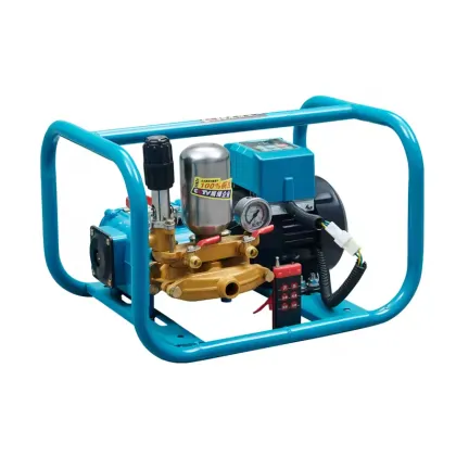 48V-72V Agricultural Pesticide Sprayer Pump