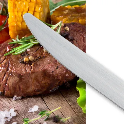Colorful PP Handle Steak Knife Set by Real Manufacturer