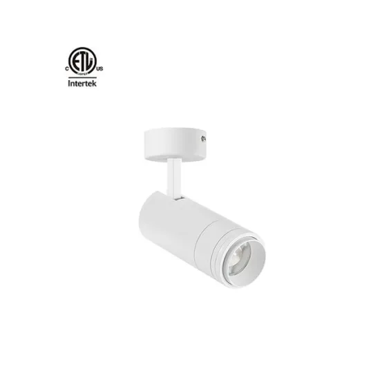 15W-30W Dimmable COB LED Ceiling Spotlight