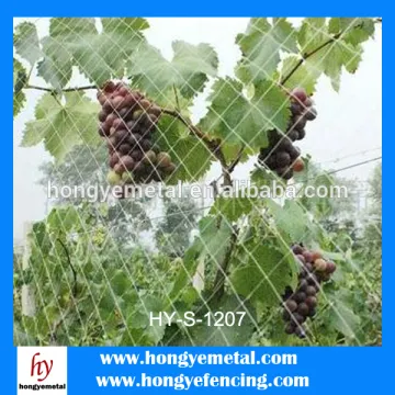 100% virgin HDPE knotted UV treated heavy bird protection net