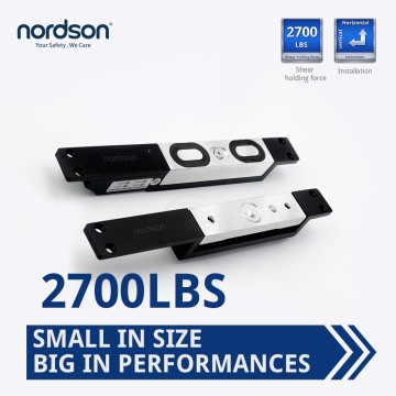 Hottest shear locks with12V 24V DC NE 2000 door security locks