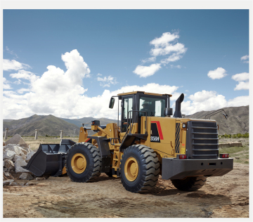 Articulated Wheel Loader FL956H for Hot Sale