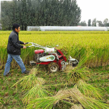 Agricultural Machinery: Mini Paddy Reaper Binder Machine - Rice Harvester for Sale