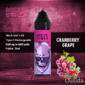 Direct Selling Breze Stiik FIT Electronic Cigarette