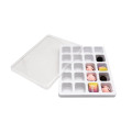 Custom Plastic 20 Cavity Chocolate Blister Packaging Trays