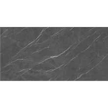 حجر الجير البوهيمي الملبد