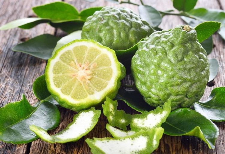 Minyak esensial Bergamot Label Pribadi