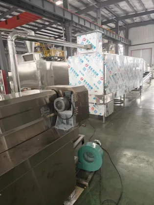 Infant Nutritional Powder and Snack Production Line: Cereals, Porridge, and Baby Food Manufacturing Equipment