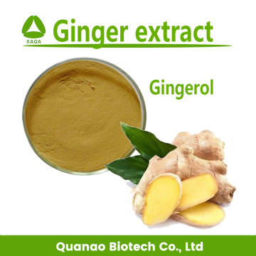 Ginger Extract Gingerol Powder 5% 10%