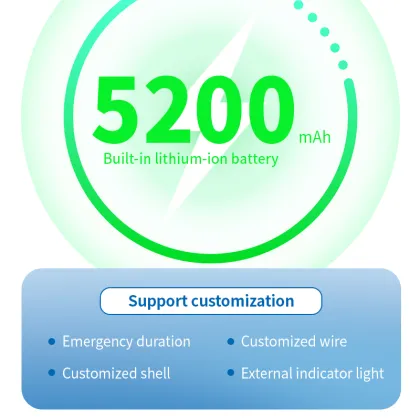 1000W LED Emergency Power Supply