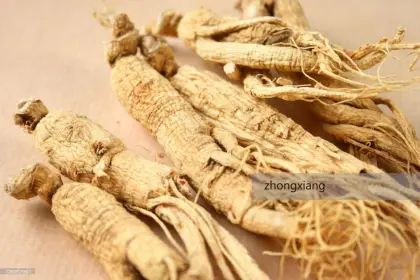 100% Pure natural  ginseng oil