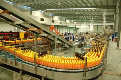 Auto Fruit Nectar Juice Filling and Packing Machine