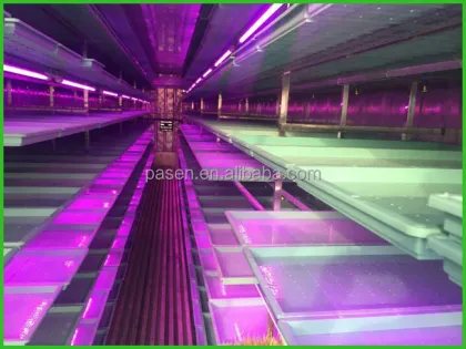 Greenhouse Hydroponics and Animal Feeding: Hydroponic Fodder Machines