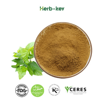 High content flavonoid extract of mulberry leaf