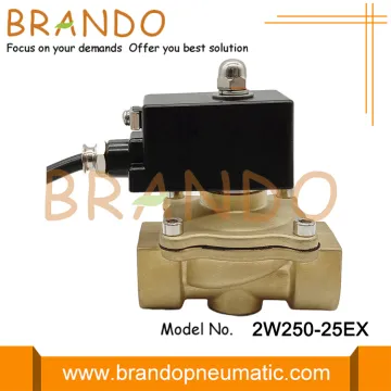 1'' Explosion Proof Water Brass Solenoid Valve 24V 110V 220V