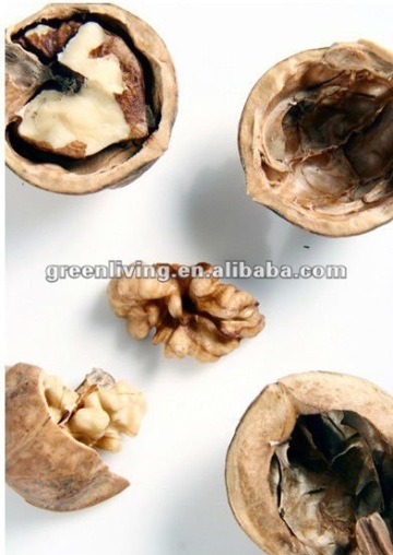 raw dried walnuts