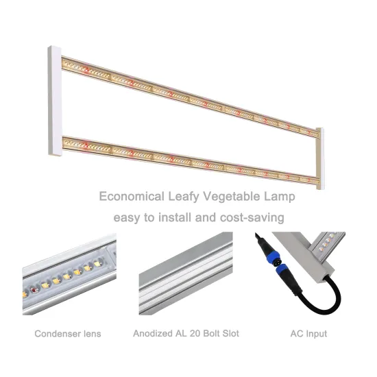 Vertical Farming with Hydroponics: LED Grow Lights for Greens, Vegetables, and Fruits