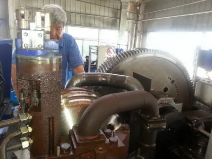 Special Steel Gear For Voith Coupling