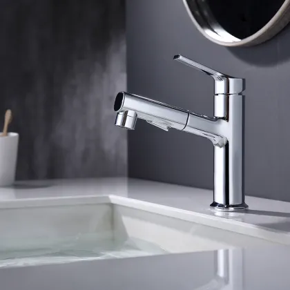 Bathroom Pull Out Faucet