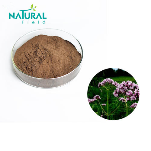 Sleep improvement/Anti-anxiety HPLC Valeriana Officinalis Acid Root Extract Powder Supplier