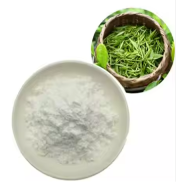 Food Grade Amino Acid L-theanine Power