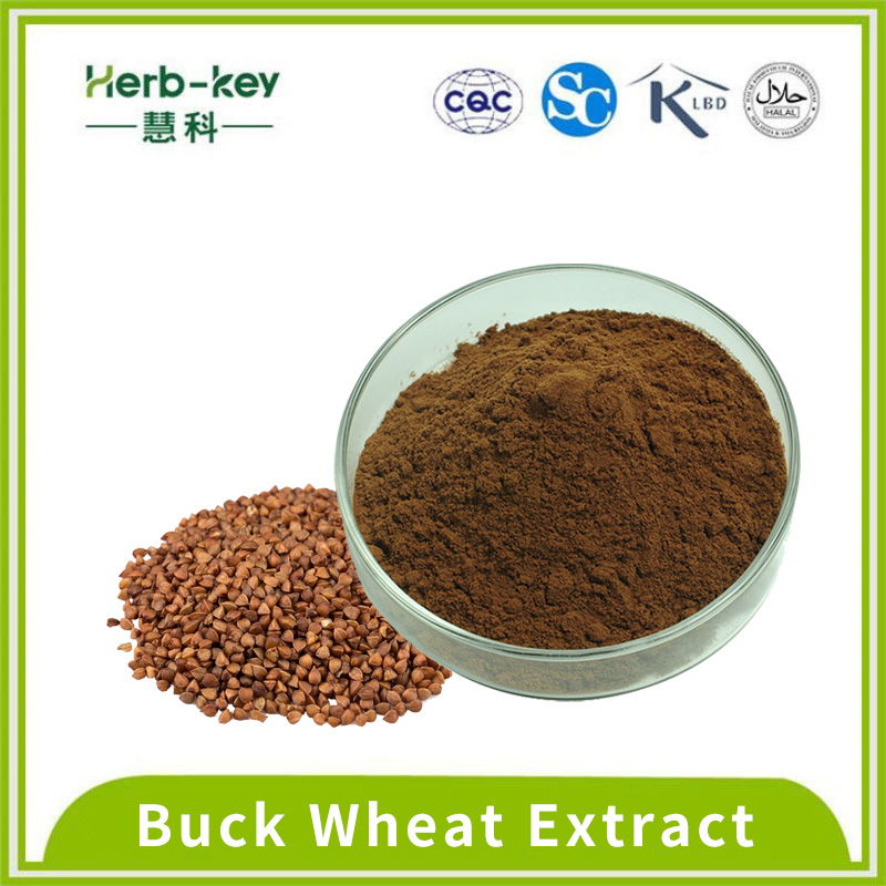 Analgesic buck wheat flavonoid brown yellow powder