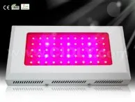 55X3W LED Grow Lights