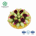 Water Soluble Fresh Cactus Fruit Powder