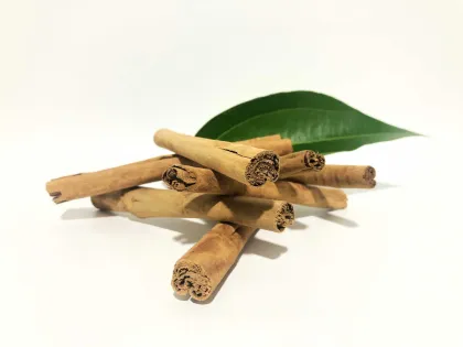 Natural Cinnamon Bark Extract