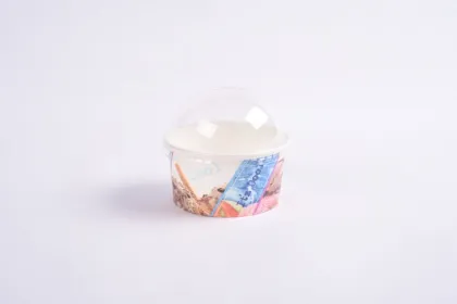 Eco friendly biodegradable paper cups with lids