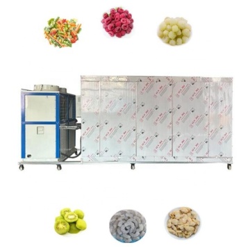 Industrial Meat Air Blast Chiller Freezer Machine for Fish and Poultry