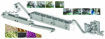 Coated and Roasted Nuts Production Line