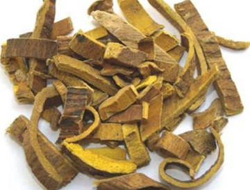 Κορυφαία ποιότητα Phellodendri Chinensis Cortex
