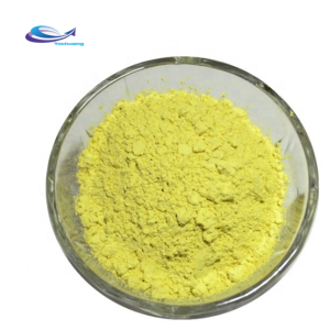 Herbal extract quercetin plant extract quercetin