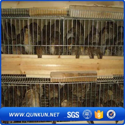 Automatic quail cage/quail battery cages/quail farm cage