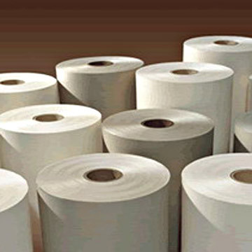 Filter Paper